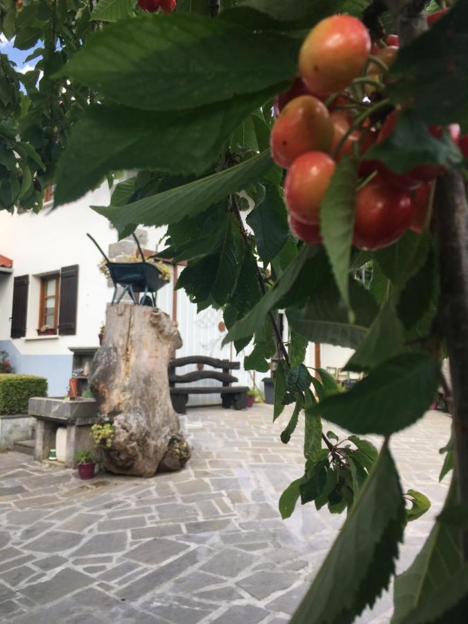 Ekialde Rural *
